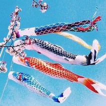 벽 장식 스타일 4070100 cm 잉어 노보리 잉어 바람 양말 koinobori 깃발, 분홍색, 100cm