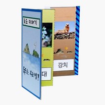 독도의날 동식물 관찰 병풍책 만들기 어린이집 초1 인성 취미 스스로 상상력 스토리북 수업