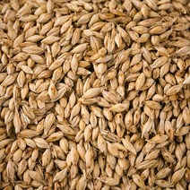 국산 맥아(보리) 600g 맥아보리, 13YU_국산맥아(보리)600g