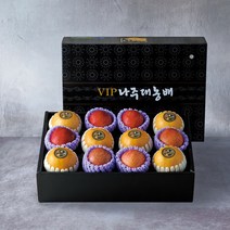 23년 추석 명절 과일선물세트 나주배/사과 혼합과일세트, 사과배 혼합세트 4.8kg (배5과+사과5과)