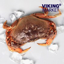 [바이킹마켓][무료배송] 살아있는 활 던지니스크랩 750g 내외 / 1kg 내외 중 택1