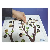 생물 분류표 5인/과학 실험 키트 교구 도구 만들기