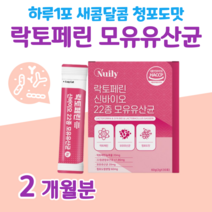 30대 직장인 회사원 유산균 신 바이오틱스 락토페린 유산균 선물 프락토 올리고당 프로 바이오틱스 유산귱 하루 1포 청포도맛 비피도 박테리움 롱검 비피덤 바실러스 가세리 루테리, 2달분, 2000mg x 30포 (하루 1포)
