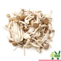 사라상회 만가닥버섯 4Kg (2봉) 갈색송이