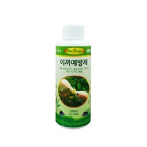 반다다아쿠아 원터치 이끼예방제 120ml, 1개