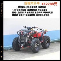 4륜 오토바이 오프로드 산악전동 ATV 신형 바이크, 19.四驱大公牛