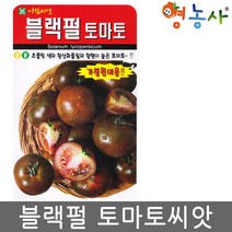 블랙펄 토마토씨앗 10립 블랙 검정 흑색 초콜릿색 종자, 단품