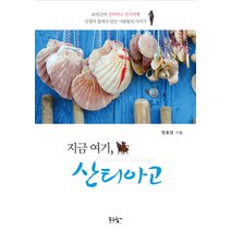 지금 여기 산티아고:40일간의 산티아고 걷기여행 인생의 틈에서 만난 사람들의 이야기, 푸른향기