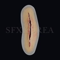 SFX.자가점착 외상피부 병원 경찰 군부대 응급처치 훈련교재 상처치료훈련 시뮬레이션 연습키트, 7.SFX.외상피부_열상(직선형, 중)