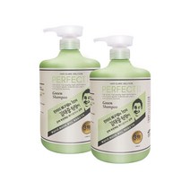 김태중 탄머리 복구펌 퍼펙트II 시리즈 헤어 그린 샴푸 1000ml, 1개