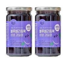복음자리 블루베리 듬뿍 생생과일 잼 470g (냉장) 과일 청 퓨레 토스트 소스 홈카페 라떼 만들기, 2개