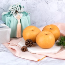 [산지직송] 나주배 선물세트 5kg 7.5kg 제수용 선물용 사이즈, 2-1. 명품 나주배 7.5kg [11-13과] 제수용