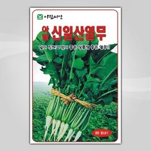 슬로시 슬로시 김장 채소 씨앗 무 배추 당근 씨 종자, 신일산열무20g(아람)