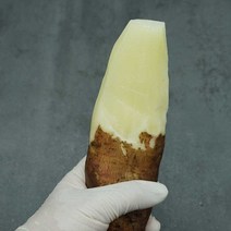 무주 햇 야콘 특상 즙용 생육 특품 못난이 5kg 10kg, 선물용) 특품 10kg, 1개