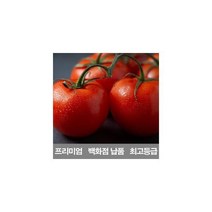 영화청과 국내산 토마토 10kg 백화점 남품 재배