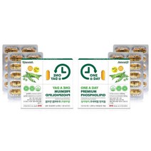 네추럴라이즈 원어데이 프리미엄 인지질 1200mg