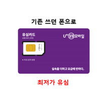 LG유플러스 미디어로그 알뜰유심 후불 유심칩 카드 USIM 알뜰폰 요금제 무약정, 스카이라이프신규