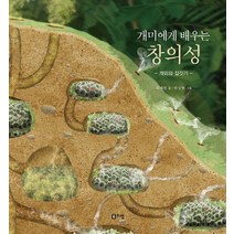 개미에게 배우는 창의성:개미의 집짓기, 리젬