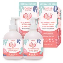 소프리스 핸드 스크럽 워시 280ml X 2, 2개
