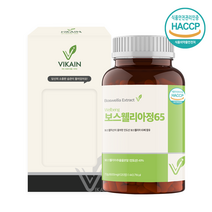 관절 연골 보스웰리아 정 알약 캡슐 정제 인도산 유향나무 원물 추출 분말 고함량 보스웰릭산 성분 무릎관절 손목 손가락 뼈 영양제 상어연골 초록입홍합 효능 보수엘리아 추천 먹는법, 1병, 600mg x 120정