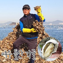 여수 돌산 굴 각굴 5kg 10kg 당일수확 껍질굴 크기혼합, 돌산 각굴 5kg