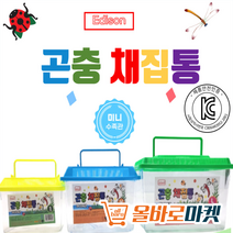 우리 아이 상상력 키우기 학습 다용도 곤충 투명 채집통, 채집통 M(색상랜덤)