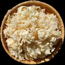 생꽃송이버섯 건조 꽃버섯 선물 세트 꽃송이버섯차 베타 글루칸 건강에좋은 음식 안전한, 생꽃송이버섯 500g, 1개