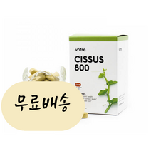 보트레 시서스 800mg 60개입 렙틴 아디포넥틴 [미국 직배송], 1개, 60개