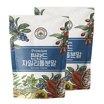 해나식품 핀란드 자일리톨 분말 가루, 1개, 1kg