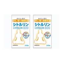 웰니스 재팬 시트룰린 800 240정 약 30일분 운동 보조제 헬스, 2개세트(약2개월), 2개