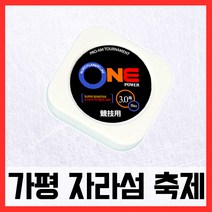 가평송어축제 원파워라인 송어 낚시줄, 2.0호