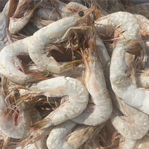 도담 급냉 자연산 대하1kg(25미내외), 단품