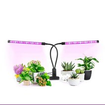 점프팜 LED식물등 크로톤키우기 미니다육이 새싹채소, 쿠D 본상품선택