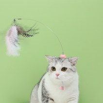 고양이 귀여운 장난감 자기 치유 머리 착용 재미 있은 스틱 애완 동물 모자 고양이 깃털 모자, 깃털 재미있는 고양이 스틱