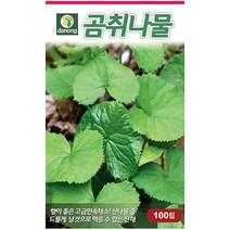 다농 산천 왕까마중 50립 - 씨 씨앗 까마중씨앗 까마중씨 강태 깜두라지 용규 나물씨앗 민속채소 채소씨 채소씨앗, 16_다농_곰취나물(100립)