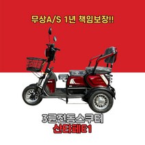 IHPM 3륜 E1 전동 스쿠터