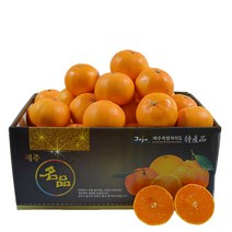 (담아팜) 최상품 꿀당도 천혜향 2.5kg 4.5kg, 천혜향 4.5kg 중소과 (21-25과) 벌크포장, 1개