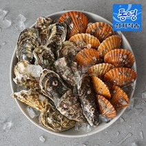 당일조업 통영 제철 석가세트 3kg 5kg [구이/찜용] 각굴 홍가리비 석화, 석가세트 3.석화1kg+가리비2kg