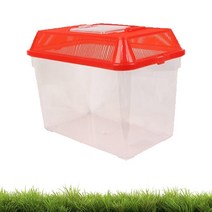 Slow Village 소라게 러그 딸기 휴대용 채집통 사각 레드 대형