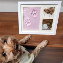 [당일출고]TOP셀러 반려견장례 반려동물 애견 고양이 장례 강아지추모함 DIY, 블루
