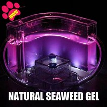 개미집 개미 아크릴 관찰 키우기 집 DIY 튜브 WOFUWOFU-인젝트 호텔 농장 발광 오션 뷰 빌라 큰 둥지 빌라 곤충 애완동물, Purple with light