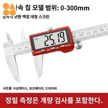 스테인레스 디지털 게이지 스틸, 0-300mm 과속칩 [계량검사 포함]