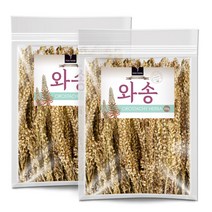 퓨어영 국산 건조 와송 250g, 2봉