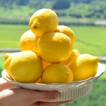 레몬팬시등급 판매량 많은 상품 중 가성비 최고로 유명한 제품