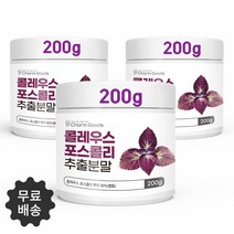 콜레우스포스콜리 추출분말 콜레우스 뿌리 포스콜린 피크노제놀 허브 콜레우스포스콜리가루 효능 추천 천연식물 체지방 빨강물 Coleus Forskohlii 200g, 3통
