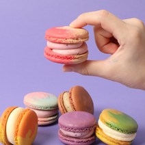설롱디저트 프리미엄 수제 마카롱 6구 세트 카페 디저트 쿠키, 신상세트