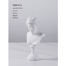 북유럽 문예의 빈티지 스케치 소두상 장식 미니 수지 석고상 장식 모델 하우스 장식, 작은 금성