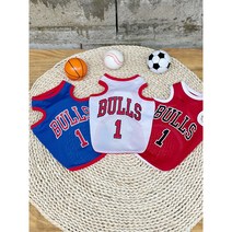 뚠뚜난나 불스 조던 농구 매쉬 민소매티 여름철 강아지옷 (S - 2XL 3XL), 화이트