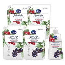 무궁화 키친솝 베이킹소다 & 비타민베리 2배 농축 친환경 주방세제 750mL + 1L x 4pk, 단품, 단품