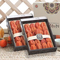 [20+20과] 상주곶감 건시 반건시 선물세트, 1개, 01)상주곶감 건시 20+20(소과)